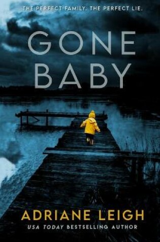 Cover of Gone Baby