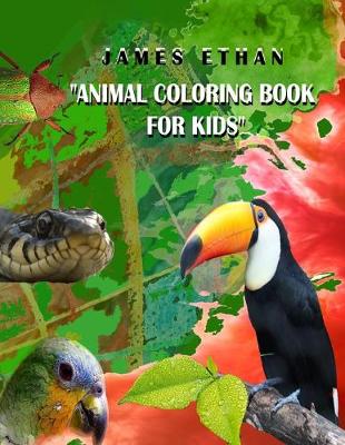 Book cover for Animal Coloring book for Kids