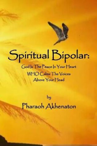 Cover of Spiritual Bipolar