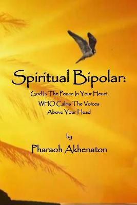 Book cover for Spiritual Bipolar