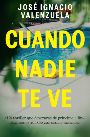 Cover of Cuando nadie te ve / When Nobody Sees You
