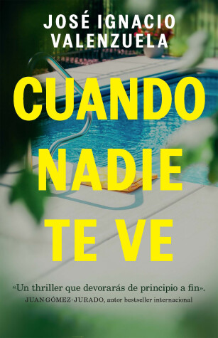 Book cover for Cuando nadie te ve / When Nobody Sees You