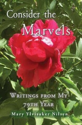 Cover of Consider the Marvels