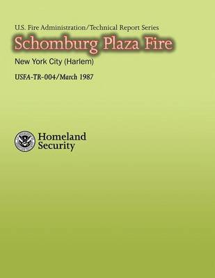Book cover for Schomburg Plaza Fire