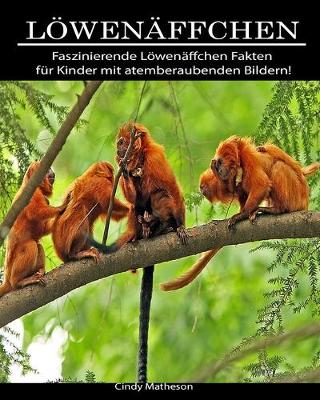 Cover of Löwenäffchen