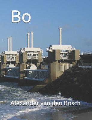 Book cover for Bo