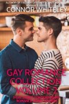 Book cover for Gay Romance Collection Volume 2
