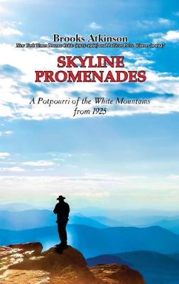 Book cover for Skyline Promenades