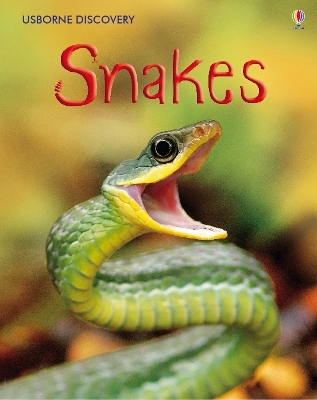 Book cover for Discovery Snakes