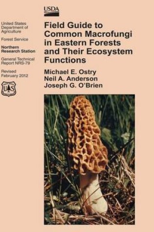 Cover of Field Guide to Common Macrofungi in Eastern Forests and Their Ecosystem Functions