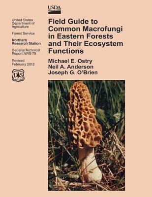 Book cover for Field Guide to Common Macrofungi in Eastern Forests and Their Ecosystem Functions