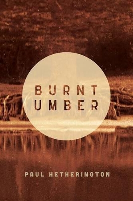 Book cover for Burnt Umber