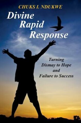 Cover of Divine Rapid Response