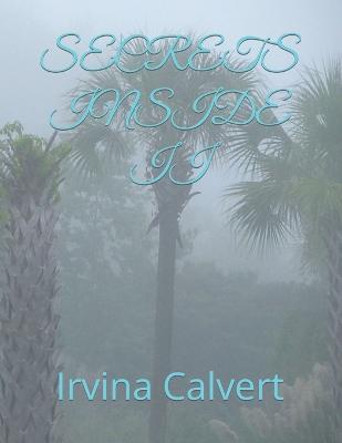 Book cover for Secrets Inside II