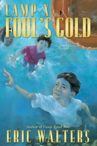 Cover of Fool's Gold