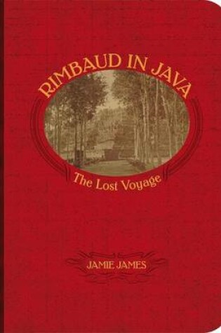 Cover of Rimbaud in Java