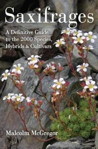 Cover of Saxifrages: The Definitive Guide to 2000 Species, Hybrids and Cultivars