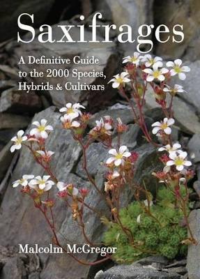 Book cover for Saxifrages: The Definitive Guide to 2000 Species, Hybrids and Cultivars