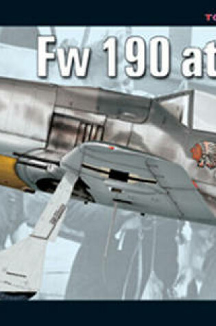 Cover of Focke Wulf Fw 190 at War