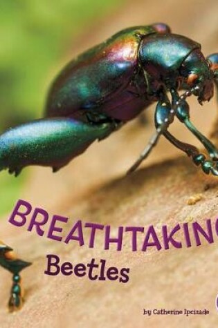 Cover of Bugs are Beautiful Breathtaking Beetles