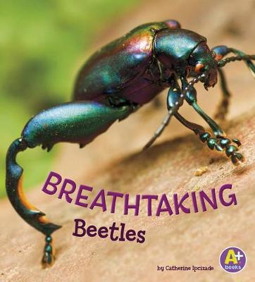 Book cover for Bugs are Beautiful Breathtaking Beetles