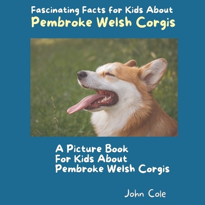 Book cover for A Picture Book for Kids About Pembroke Welsh Corgis