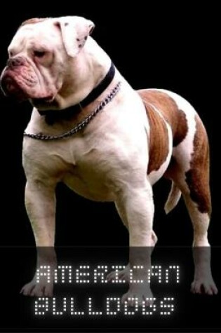 Cover of American Bulldog