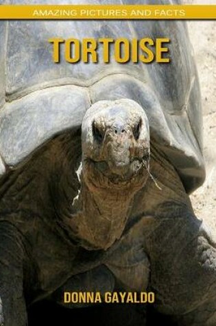 Cover of Tortoise