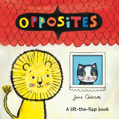 Book cover for Jane Cabrera: Opposites