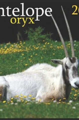 Cover of Antelope oryx