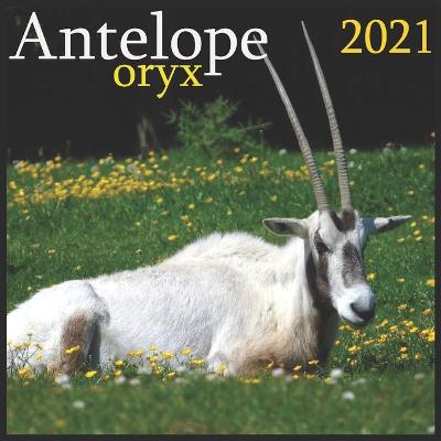 Book cover for Antelope oryx