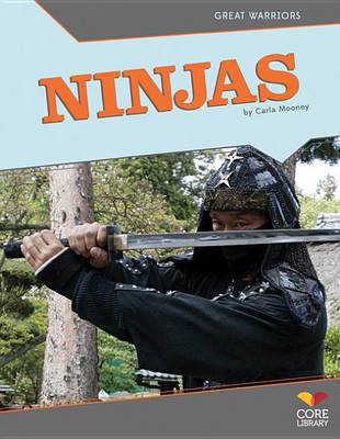 Book cover for Ninjas