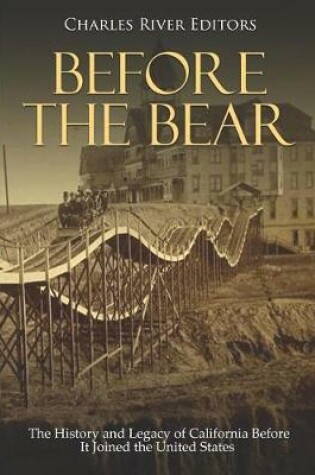 Cover of Before the Bear