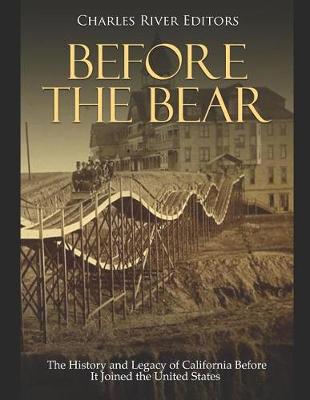 Book cover for Before the Bear