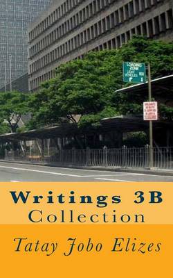 Book cover for Writings 3B