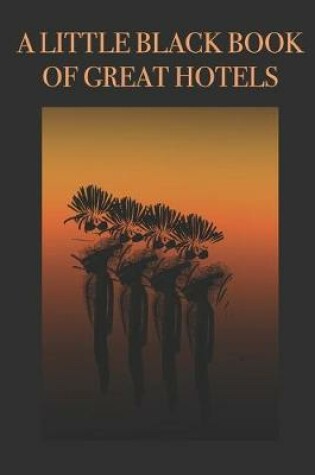 Cover of A Little Black Book of Great Hotels