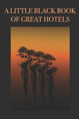Book cover for A Little Black Book of Great Hotels