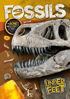 Book cover for Fossils