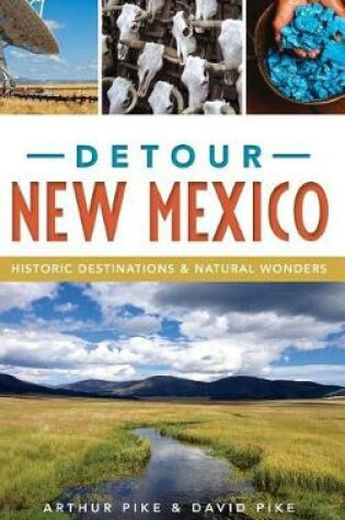 Cover of Detour New Mexico