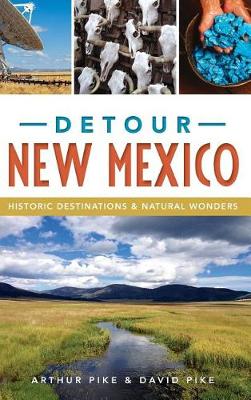 Book cover for Detour New Mexico