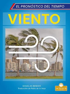 Book cover for Viento (Wind)