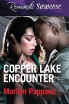 Book cover for Copper Lake Encounter