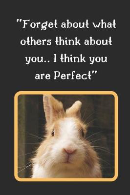 Book cover for Forget About What Others Think About You.. I Think You Are Perfect