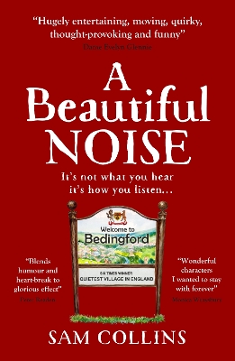 Book cover for A Beautiful Noise