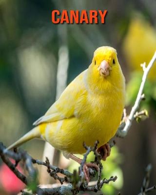 Book cover for Canary