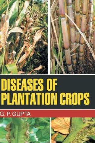 Cover of Diseases of Plantation Crops