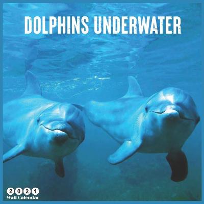 Book cover for Dolphins Underwater 2021 Wall Calendar