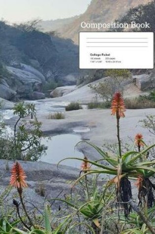 Cover of Aloes in the Gorge Composition Notebook, College Ruled