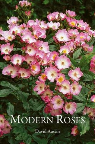 Cover of Modern, Bush and Shrub Roses