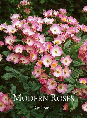 Book cover for Modern, Bush and Shrub Roses